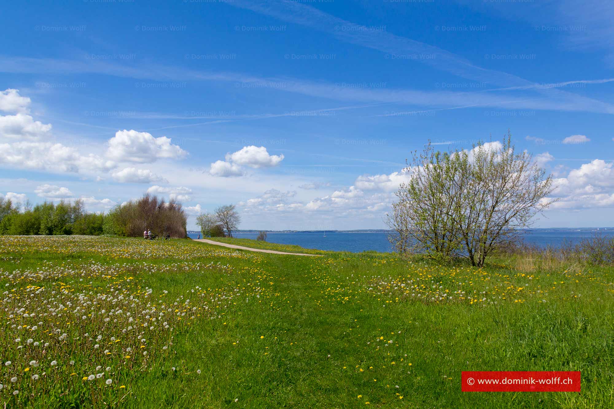 Bild + Foto - Frühjahr an der Ostsee