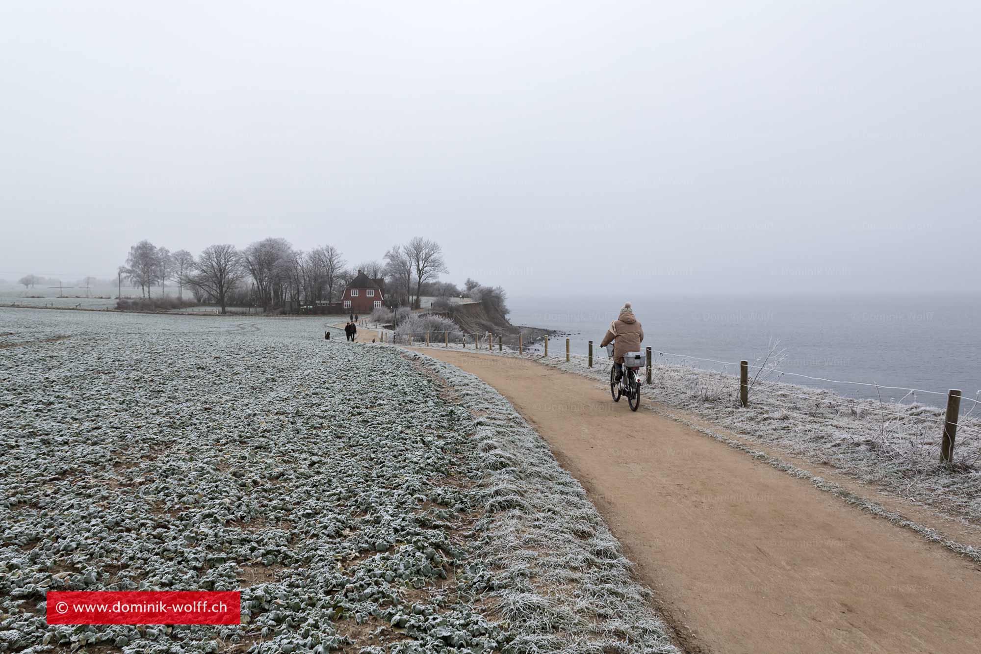 Bild + Foto - Winter an der Ostsee